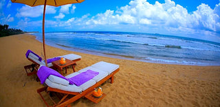 DETOX 10 DAYS – SRI LANKA