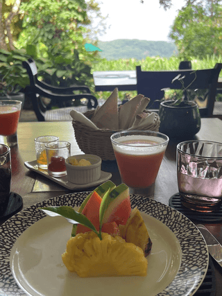 DETOX 10 DAYS – SRI LANKA